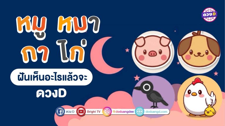 หมู หมา กา ไก่ ฝันเห็นอะไรจะเป็น ฝันดี ?