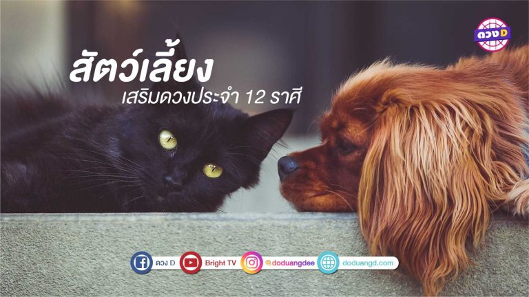 สัตว์เลี้ยง เสริมดวง 3 ราศีนี้หากเลี้ยงสัตว์จะดี มีเกณฑ์ได้โชค ได้ลาภ