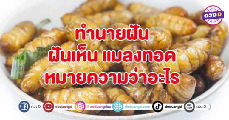 ทำนายฝัน ฝันเห็น แมลงทอด หมายถึงอะไร