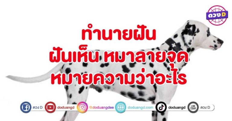 ทำนายฝัน ฝันเห็น หมาลายจุด หมายถึงอะไร