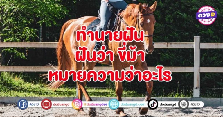 ทำนายฝัน ฝันว่า ขี่ม้า หมายถึงอะไร