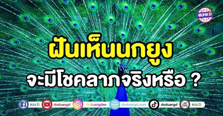 ทำนายฝัน ฝันเห็นนกยูง การงาน การเงิน ความรักในช่วงนี้จะเป็นอย่างไร ?
