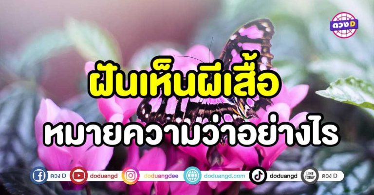 ทำนายฝัน ฝันเห็นผีเสื้อ ฝันเห็นผีเสื้อมาเกาะ หมายความว่าอย่างไร