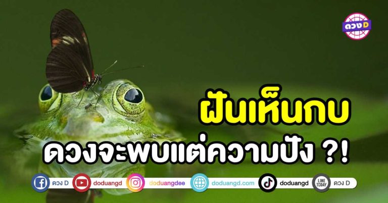 ทำนายฝัน ฝันเห็นกบ ช่วงนี้ดวงจะพบแต่ความปังจริงหรือ ?!