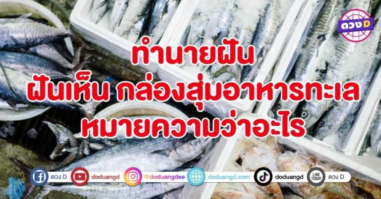 ทำนายฝัน ฝันเห็น กล่องสุ่ม อาหารทะเล หมายถึงอะไร