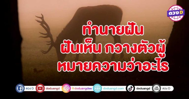 ทำนายฝัน ฝันเห็น กวางตัวผู้ หมายถึงอะไร