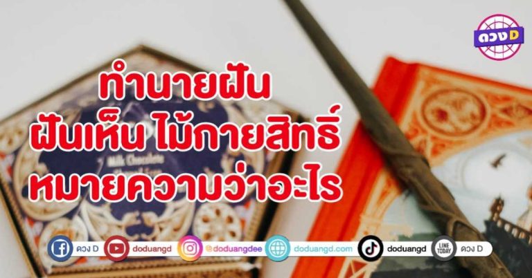 ทำนายฝัน ฝันเห็น ไม้กายสิทธิ์ หมายถึงอะไร