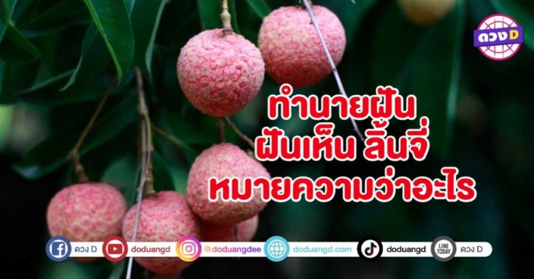 ทำนายฝัน ฝันเห็น ลิ้นจี่ หมายถึงอะไร