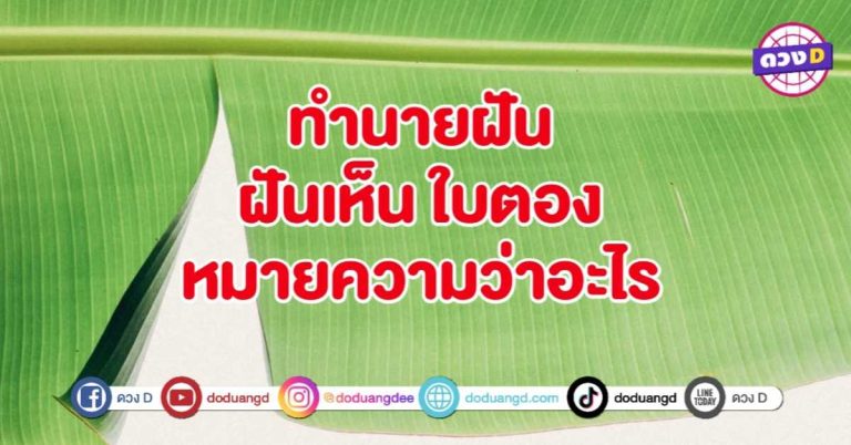 ทำนายฝัน ฝันเห็น ใบตอง หมายถึงอะไร