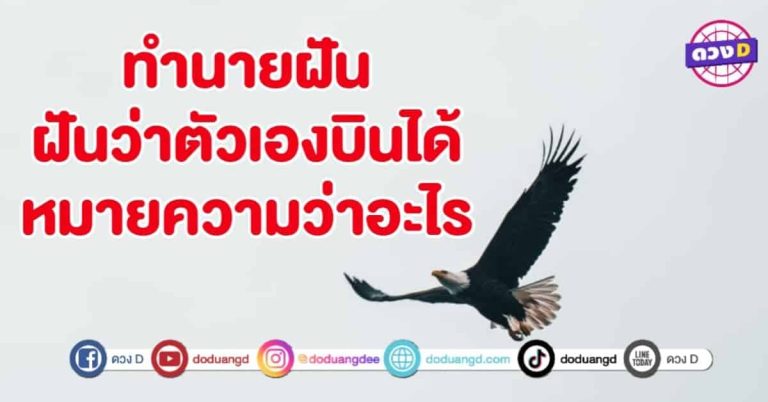 ทำนายฝัน ฝันว่าตัวเอง บินได้ หมายถึงอะไร