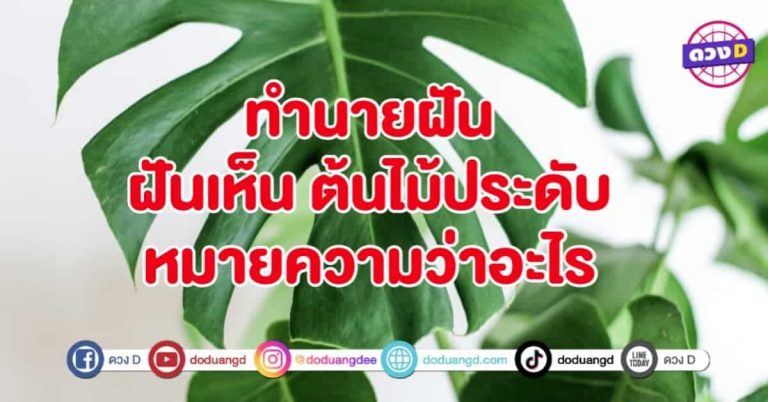 ทำนายฝัน ฝันเห็น ต้นไม้ประดับ หมายถึงอะไร