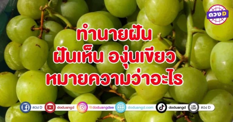 ทำนายฝัน ฝันเห็น องุ่นเขียว หมายถึงอะไร