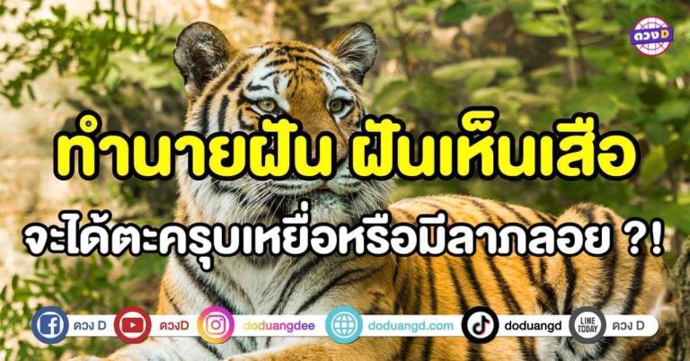 ทำนายฝัน ทำนายความฝัน ฝันเห็นเสือ จะได้ตะครุบเหยื่อ หรือมีลาภลอย ?!