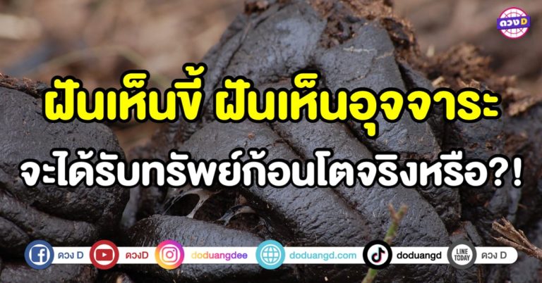 ทำนายฝัน ฝันเห็นขี้ ฝันเห็นอุจจาระ ฝันเห็นอึ จะได้รับทรัพย์ก้อนโตจริงหรือ ?!