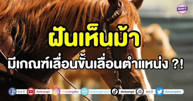 ฝันเห็นม้า หน้าที่การงานดี มีเกณฑ์เลื่อนขั้นเลื่อนตำแหน่งจริงหรือ ?!