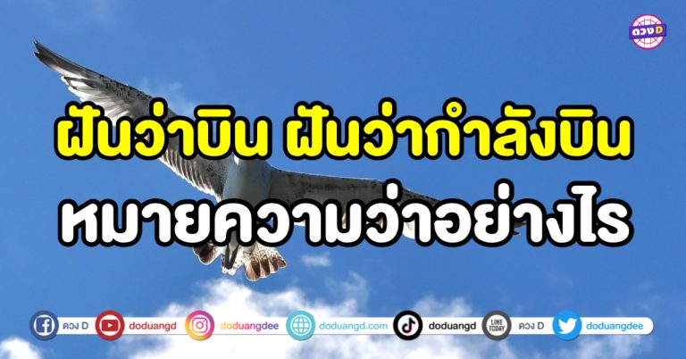 ฝันว่าบิน ฝันว่ากำลังบิน ฝันว่ากำลังลอย การงาน การเงินดี มีคนเมตตาจริงหรือ ?!
