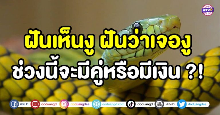 ฝันเห็นงู ฝันว่าเจองู ช่วงนี้จะมีคู่หรือมีเงิน ?! พร้อมเลขมงคลพารวย