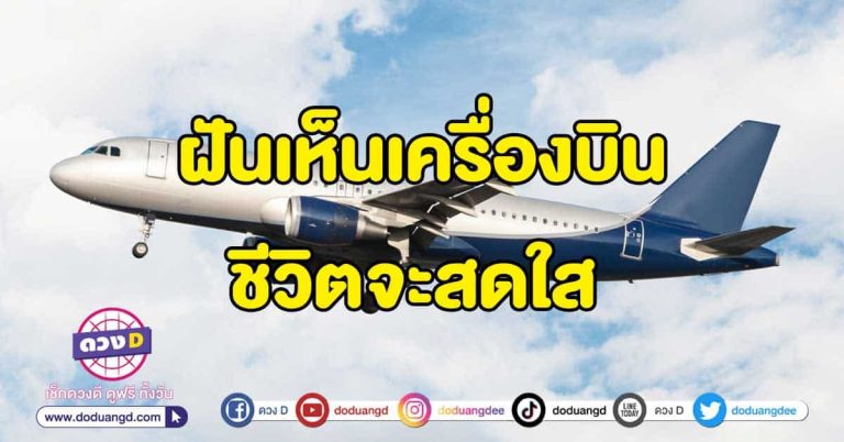 ทำนายฝัน ฝันเห็นเครื่องบิน ชีวิตสดใส จะมีแต่ความโชคดีเข้ามา!!