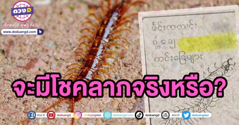 ทำนายฝัน พม่า 2566 ฝันเห็นตะขาบ ตำราพม่า ตีความหมาย เลขเด็ด