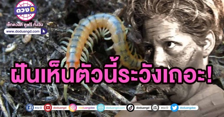 ทำนายฝัน ลาว ฝันเห็นขี้เข็บ ตีตัวเลขเด็ด ระวัง 4 เรื่องสำคัญนี้