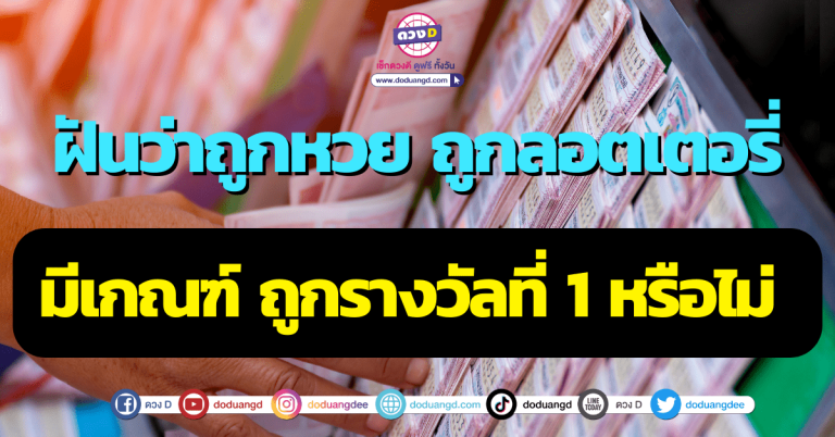ฝันว่าถูกหวย ตรวจลอตเตอรี่ เลขเด็ด ฝันแบบนี้คุณอาจมีเกณฑ์จะ ถูกรางวัลที่ 1