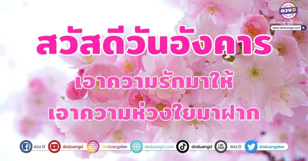 สวัสดีวันอังคาร