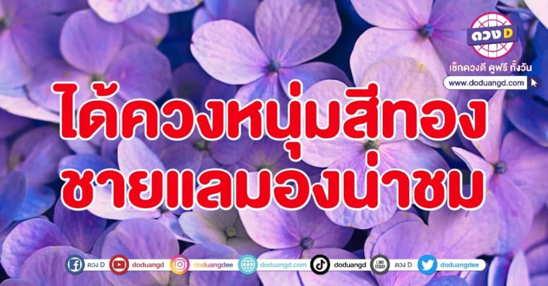 ไปกับหนุ่มสีเทา แต่เรา ไปกับหนุ่มสีทอง