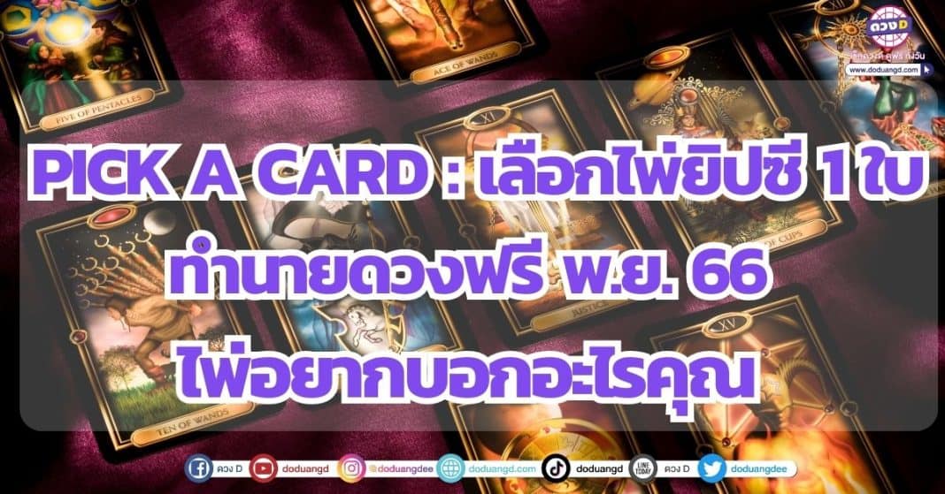 pick a card : เลือกไพ่ยิปซี 1 ใบ ทำนายดวงฟรี พ.ย. 66 ไพ่อยากบอกอะไรคุณ อาจารย์เบิร์ด ธีรพงศ์