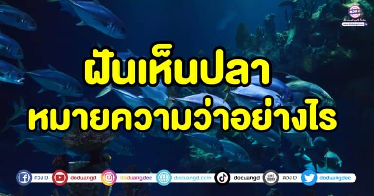 ฝันเห็นปลา พร้อมความหมาย ทำนายฝัน ทำนายความฝัน เลขเด็ดนำโชค