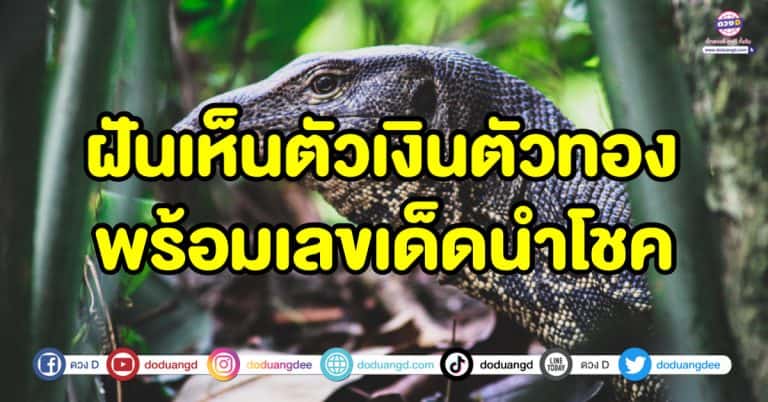ฝันเห็นตัวเงินตัวทอง ทำนายความฝัน พร้อมเลขเด็ดนำโชค