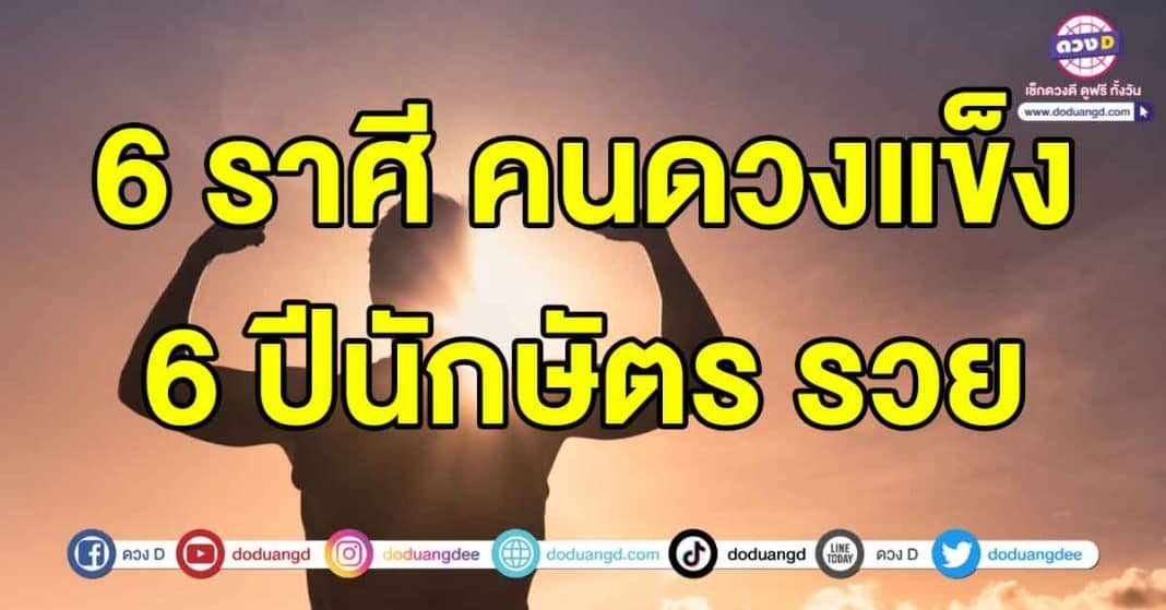 แมว9ชีวิต