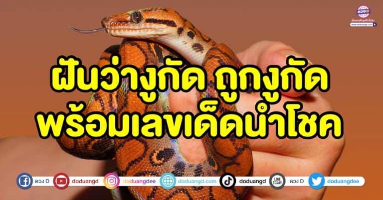 ฝันว่างูกัด ถูกงูกัด โดนงูกัด ทำนายความฝัน พร้อมเลขเด็ดนำโชค