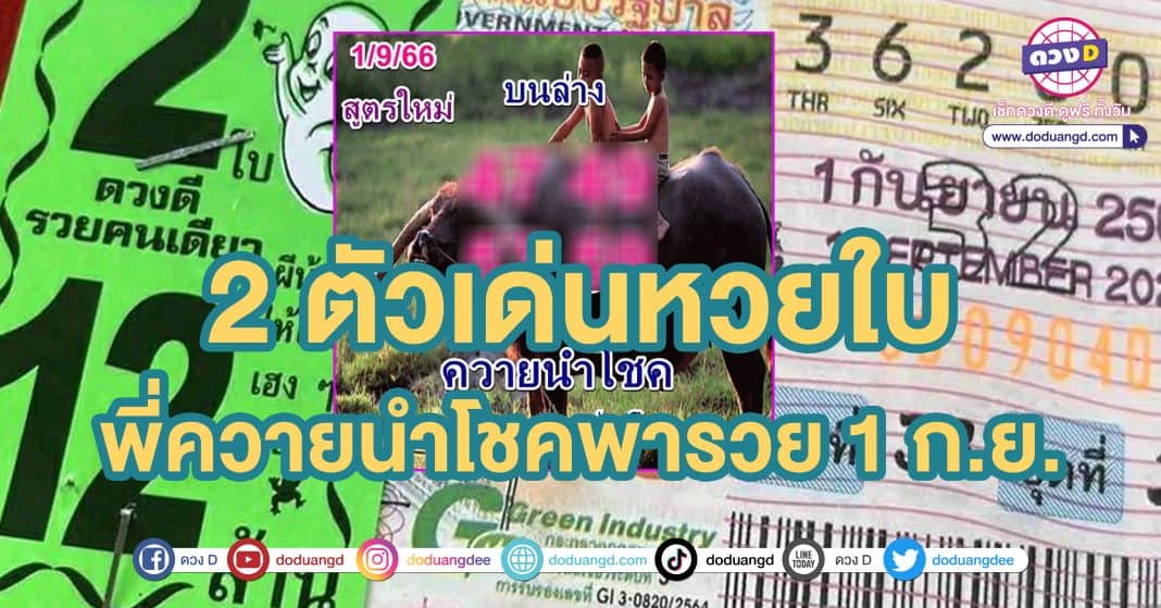 เลขเด็ด หวยควายนำโชค 1 กันยายน66