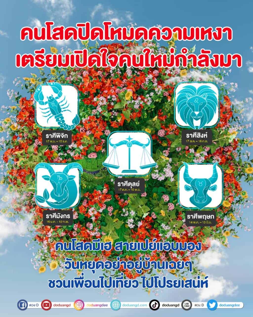 คนโสดเปิดใจ คนใหม่กำลังมา คนใหม่จะมา