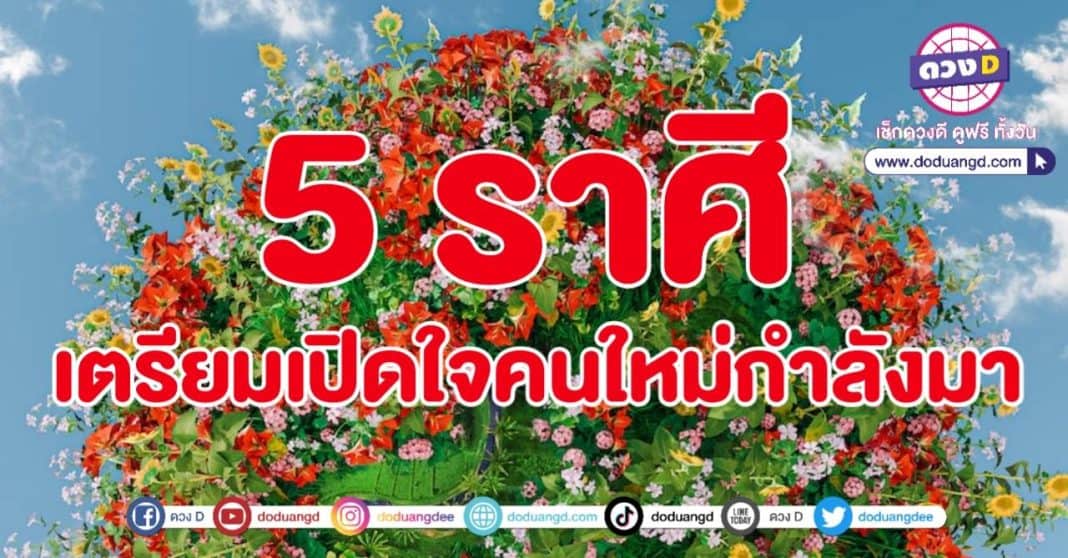 คนโสดเปิดใจ คนใหม่กำลังมา คนใหม่จะมา