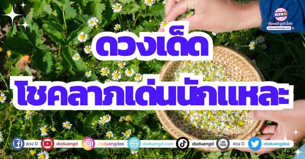 ดวงโชคลาภ ดวงรับโชค โชคลาภโดดเด่น 2566