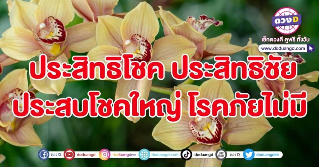 ประสิทธิโชค ประสบโชคใหญ่ โรคภัยไม่มี