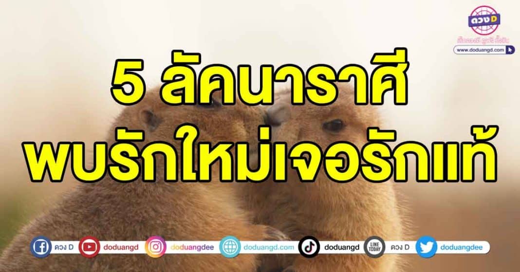 พบรักใหม่เจอรักแท้