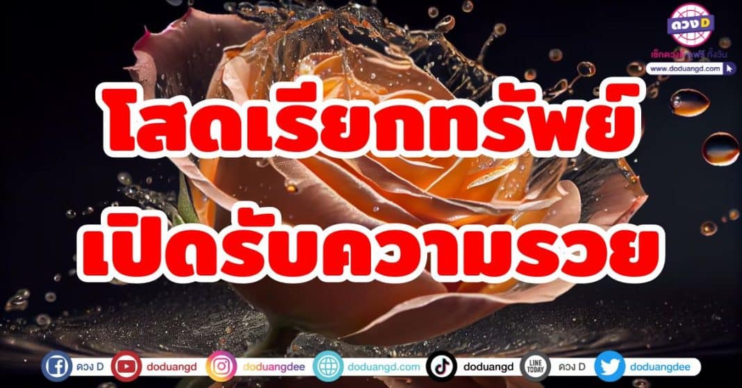 โสดเรียกทรัพย์ เปิดรับความรวย