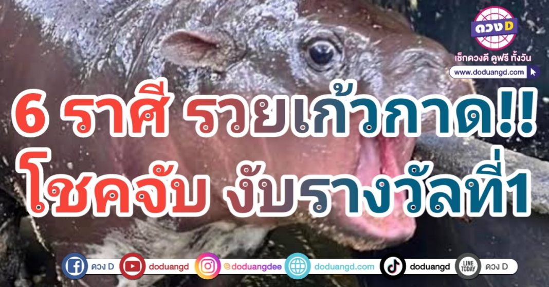 เปิดดวง หมูเด้ง