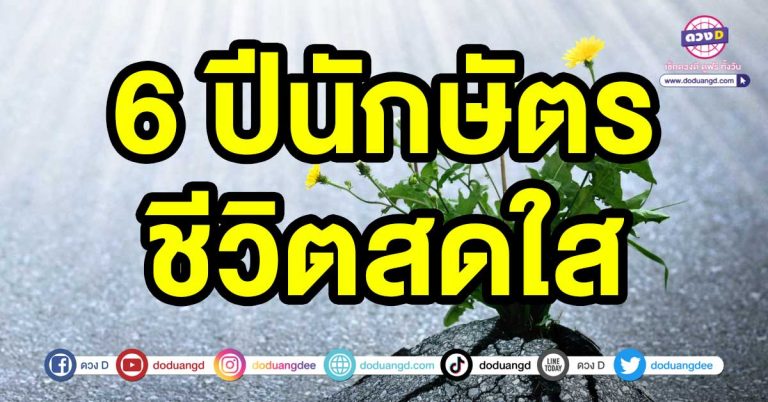 สัปดาห์สดใส 6 ปีนักษัตร ชีวิตสดใส ลงมือลงใจทำอะไรก็มีแต่ความสำเร็จเกิดขึ้น