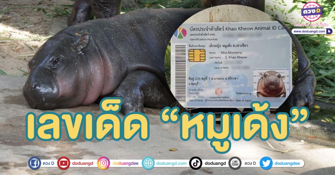 เลขเด็ด บัตรประชาชน น้องหมูเด้ง