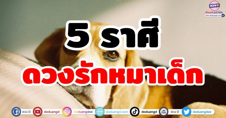 ดวงรักหมาเด็ก “5 ราศี” มีเกณฑ์ตกหลุมรักคนอายุน้อยกว่า รักดี งานรุ่ง เงินพุ่ง