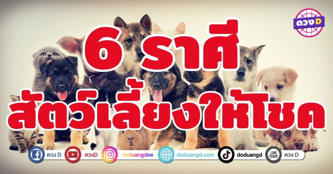 สัตว์เลี้ยงให้โชค 6 ราศี น้อง ๆ มีพลังความโชคดีอยู่