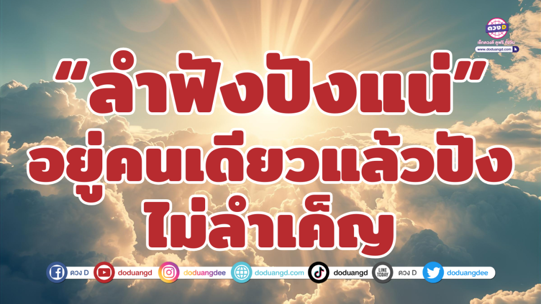 ปก (13)