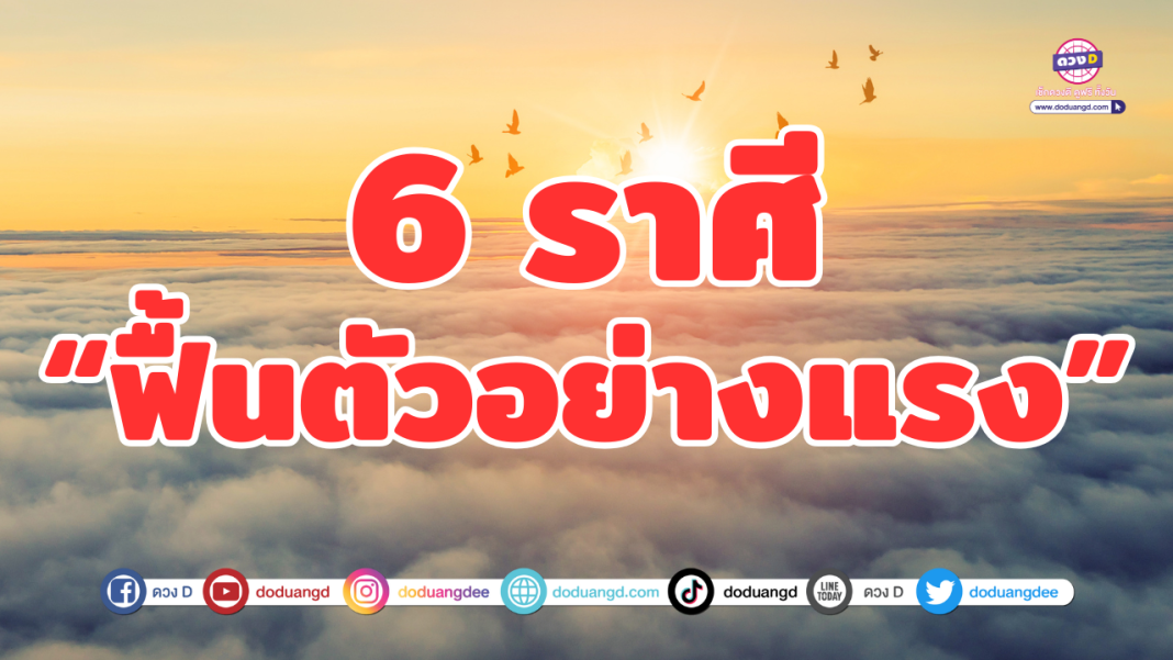 ปก (6)